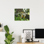 Poster Singe écureuil commun, (Saimiri sciureus), Rio (Bureau à domicile)