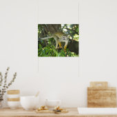 Poster Singe écureuil commun, (Saimiri sciureus), Rio (Cuisine)