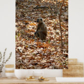 Poster Singe en saison sèche (Cuisine)