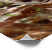 Poster Singe en saison sèche (Coin)