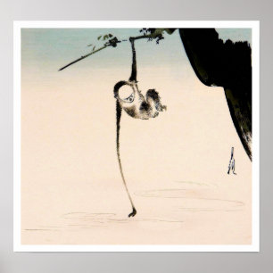 Poster Singe et la réflexion de lune