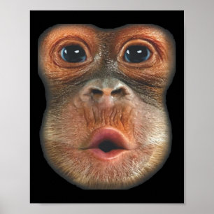 Poster Singe faisant une grimace en gonflant le ventre 
