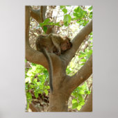 Poster Singe - Je suis tellement fatigué (Devant)