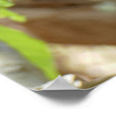 Poster Singe - Je suis tellement fatigué (Coin)