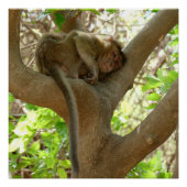 Poster Singe - Je suis tellement fatigué (Devant)