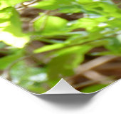 Poster Singe - Je suis tellement fatigué (Coin)