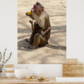 Poster Singe - Je veux quelque chose aussi (Cuisine)