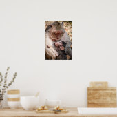 Poster Singe mère et bébé (Cuisine)