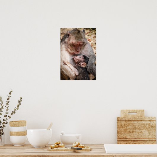 Poster Singe mère et bébé (Cuisine)
