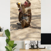 Poster Singe - Mères Petit-Déjeuner (Bureau à domicile)