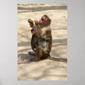 Poster Singe - Mères Petit-Déjeuner (Devant)