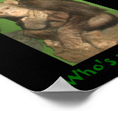 Poster singe, qui est ton singe ! (Coin)