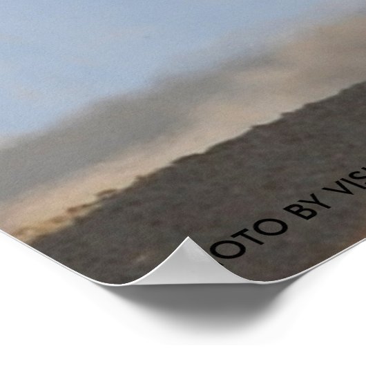 Poster Singe Sur Le Dos (Coin)