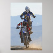 Poster Singe Sur Le Dos (Devant)