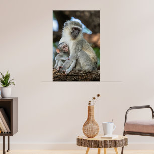 Poster Singe Vervet Expressif en Afrique