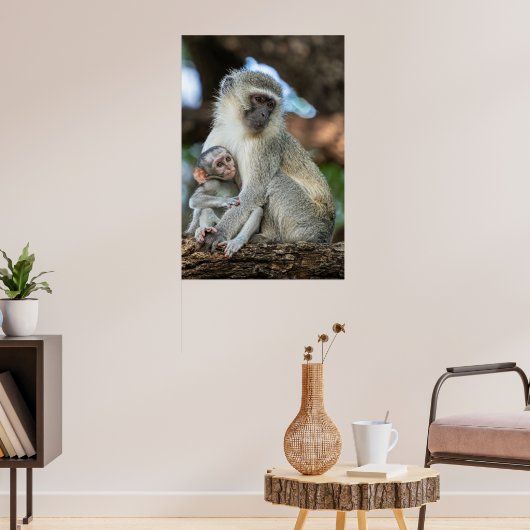 Poster Singe Vervet Expressif en Afrique (Salon 3)