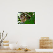 Poster Singe Voir... (Cuisine)