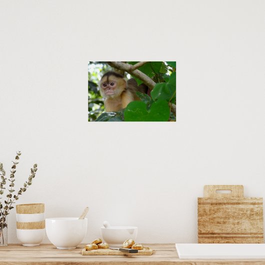 Poster Singe Voir... (Cuisine)