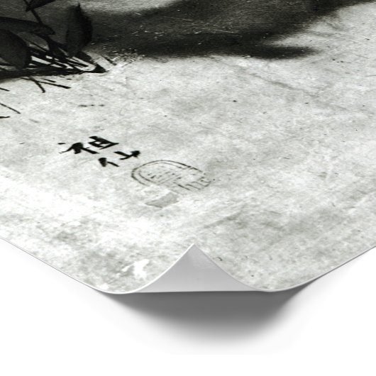 Poster Singes (Coin)