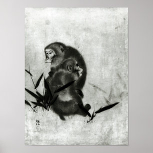 Poster Singes