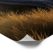 Poster Singes Admirent Majesquement Le Terrain Vert Luxur (Coin)