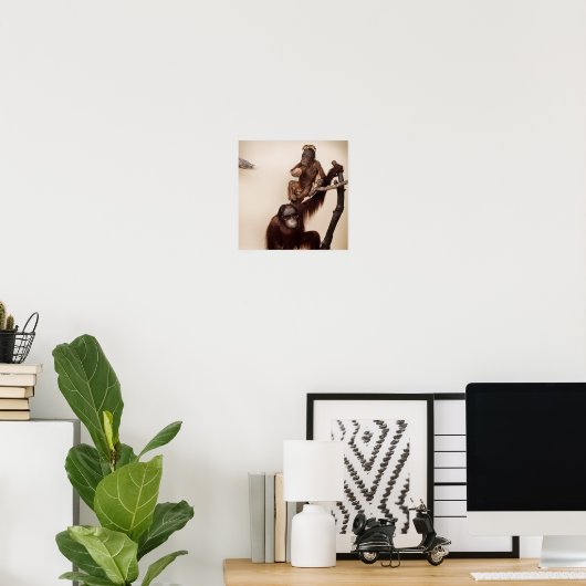 Poster Singes dans un arbre (Bureau à domicile)