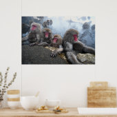 Poster Singes de bain (Cuisine)