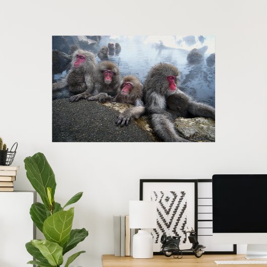 Poster Singes de bain (Bureau à domicile)