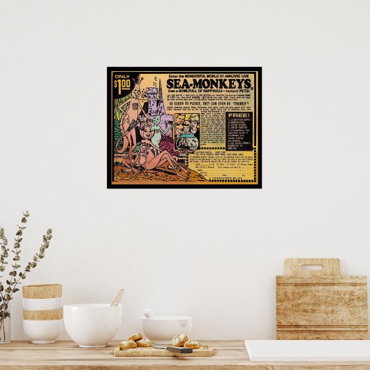 Poster Singes de mer (Cuisine)