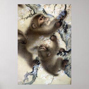 Poster Singes de Mori Sosen dans un cerisier de floraison