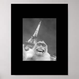 Poster Singes drôles selfie tour Eiffel à Paris hommes fe