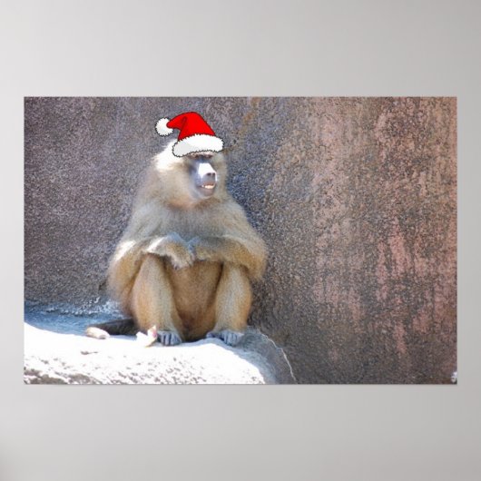 Poster Singes et babouins de Noël (Devant)
