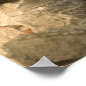 Poster Singhat Wat Thammikarat (Coin)