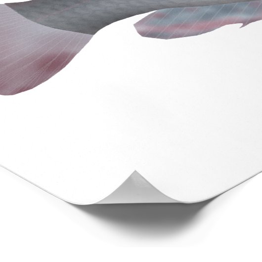 Poster Singida Tilapia (Coin)