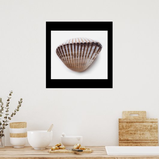 Poster Single seashell (Cuisine)