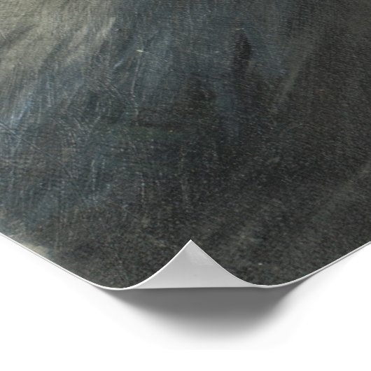 Poster Sinornithosaure Imprimer (Coin)