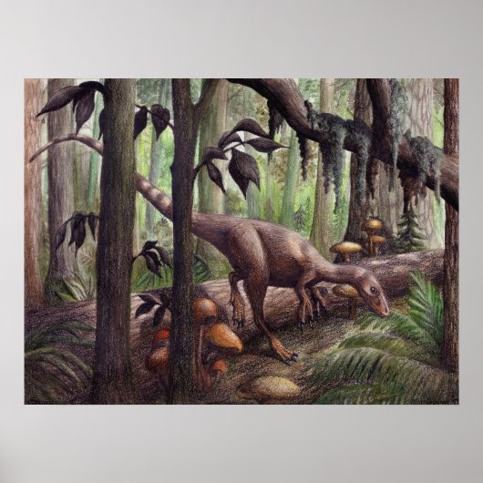 Poster Sinosauropteryx Imprimer (Devant)