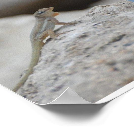 Poster Sint Maarten-St Martin Imprimer (Coin)