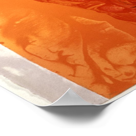 Poster Sip 1999 (Coin)