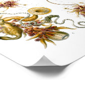 Poster Siphonophorae Ernst Haeckel Fine Art (Coin)