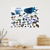 Poster Siquijor Underwater World (Cuisine)