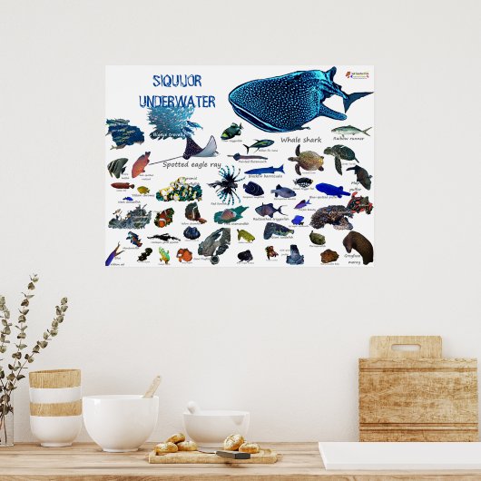 Poster Siquijor Underwater World (Cuisine)