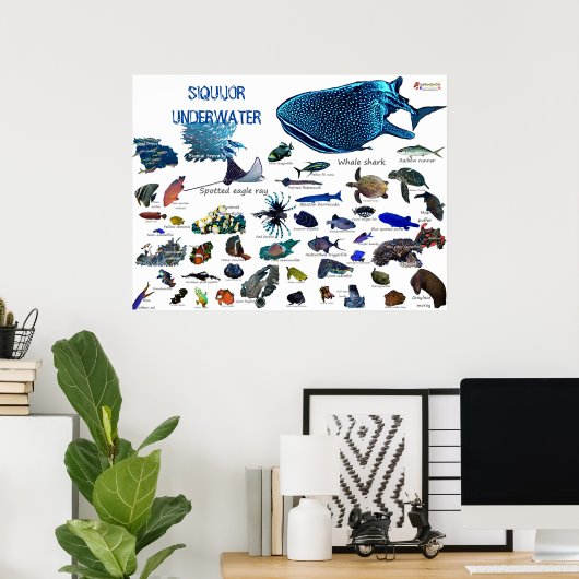 Poster Siquijor Underwater World (Bureau à domicile)