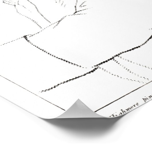 Poster Sir James Thornhill (Coin)