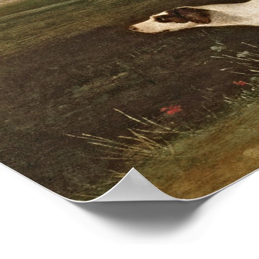 Poster Sir John Nelthorpe (Coin)