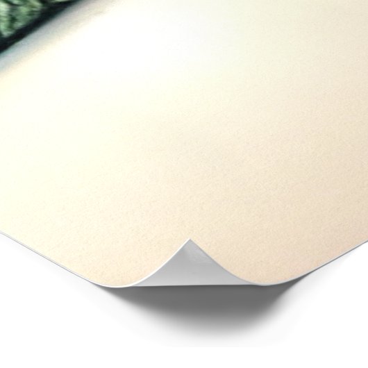 Poster Sirène (Coin)