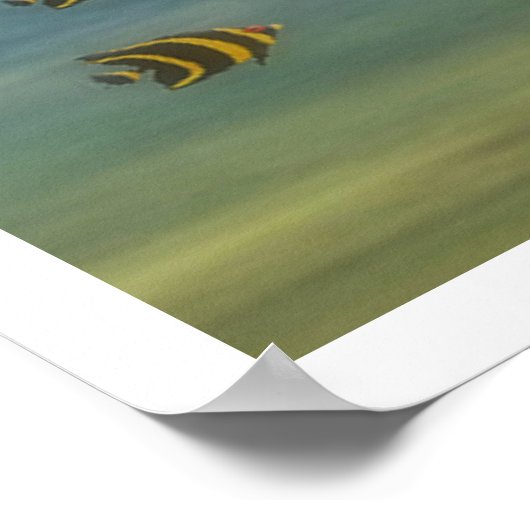 Poster Sirène adolescente (Coin)