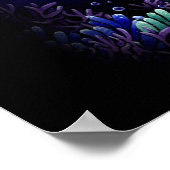 Poster Sirène de minuit "Uxia" (Coin)