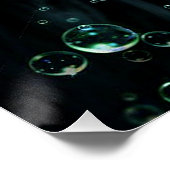 Poster Sirène d'Imaginaire (Coin)