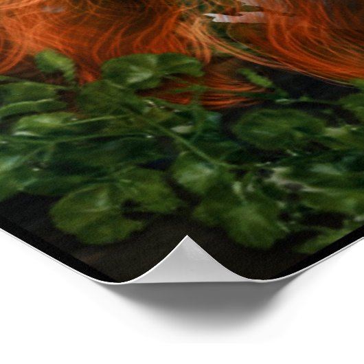 Poster Sirène endormie (Coin)